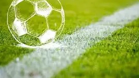 奥运直播应用全新升级，极速赛事观看体验